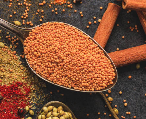 image of orange seeds on a spoon for the consultant