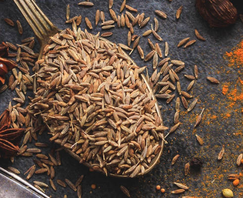 image of cumin seeds for training