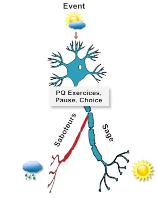 drawing of a neuron, showing the neuronal path between a positive and a negative emotion decision